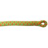 Cousin Atrax Baumkletterseil orange 11,6 mm