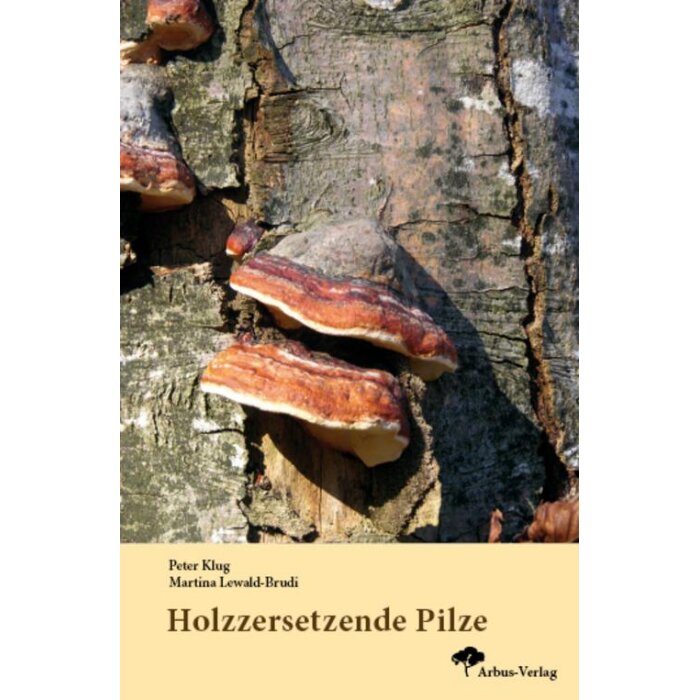 Holzzersetzende Pilze (Peter Klug)