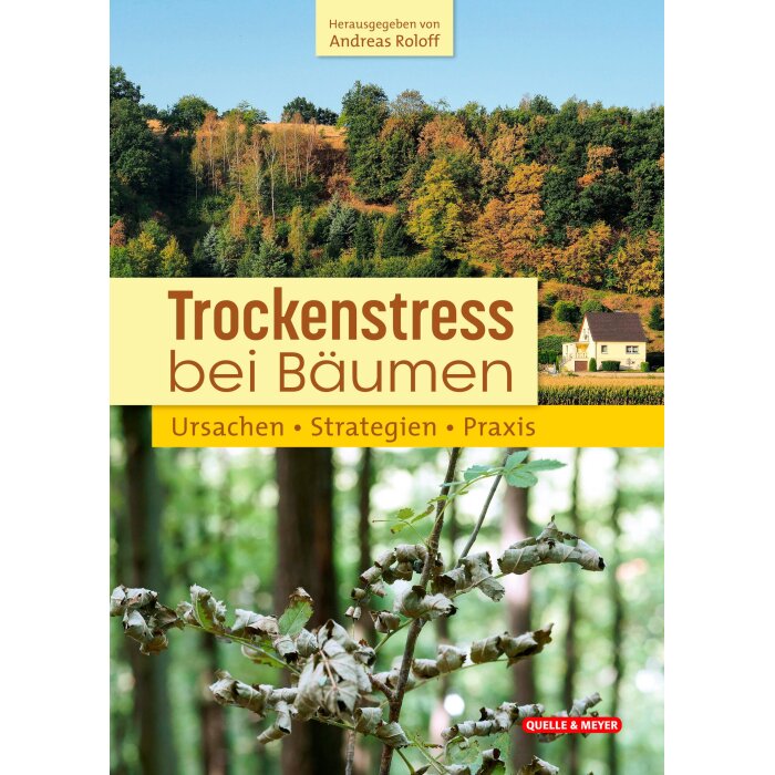 Trockenstress bei Bäumen (Andreas Roloff)