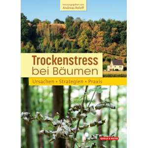 Trockenstress bei Bäumen (Andreas Roloff)