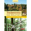Trockenstress bei Bäumen (Andreas Roloff)