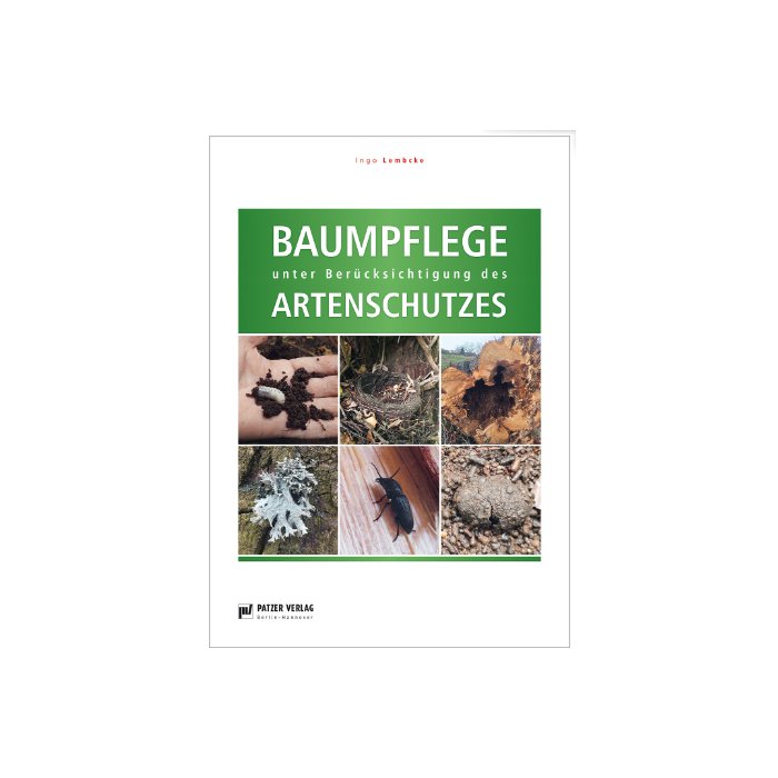 Baumpflege unter Berücksichtigung des Artenschutzes