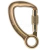 Aliens Stahlkarabiner Captive Eye steel screw 45 kN