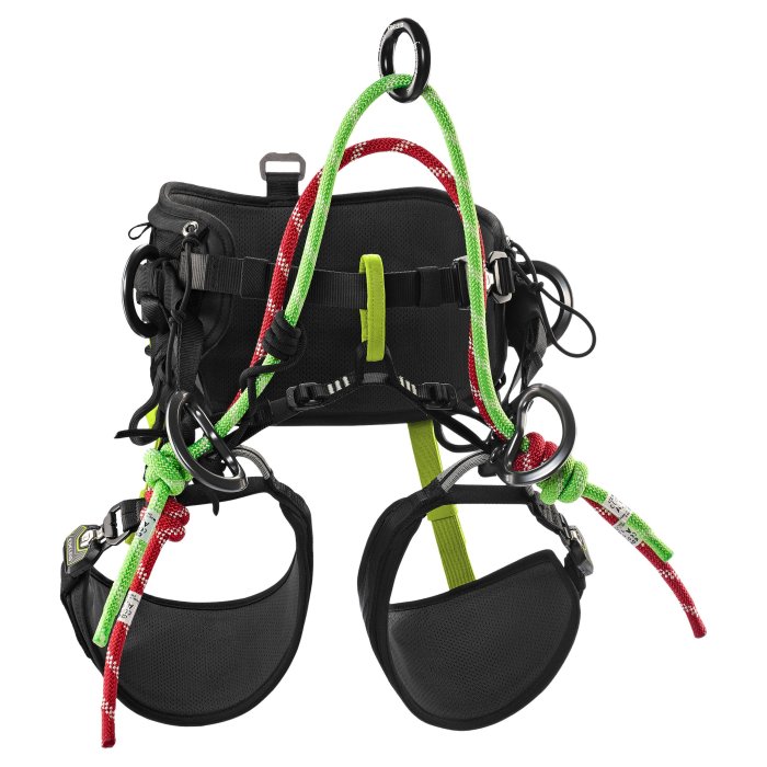 Edelrid TreeRex II Baumklettergurt Größe 1