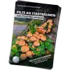 Bestimmungsfächer – Pilze an Stadtbäumen