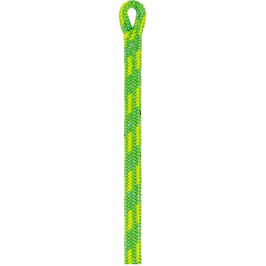 Petzl Control 12,5 mm Baumkletterseil 45 m grün
