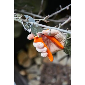 Löwe 1 Amboss Gartenschere