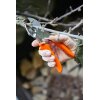 Löwe 1 Amboss Gartenschere