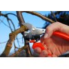 Löwe 5 Amboss Gartenschere