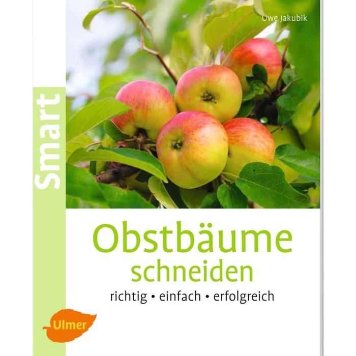 Obstbäume schneiden - Ulmer