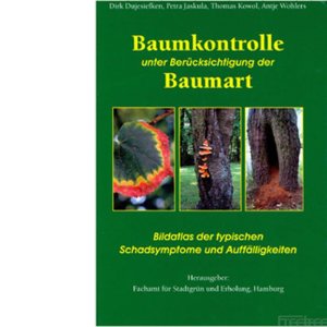 Baumkontrolle unter Berücksichtigung der Baumart