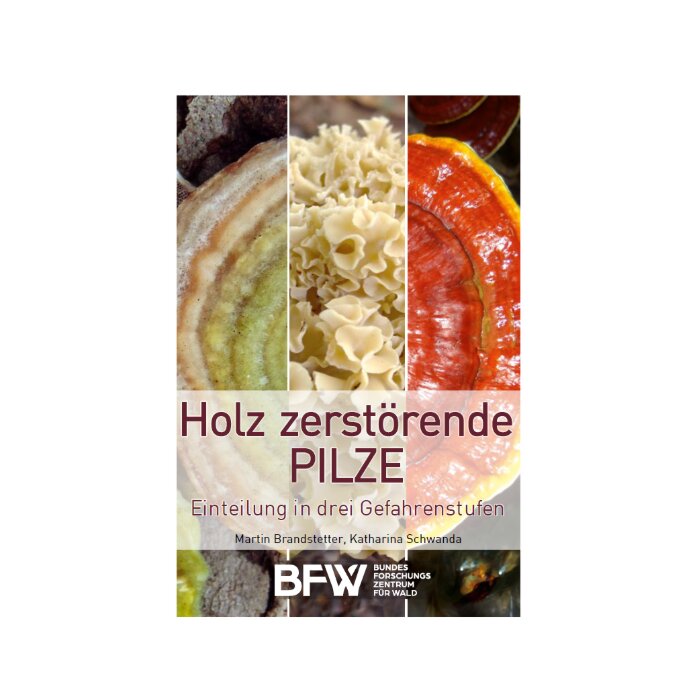 Bestimmungsfächer - Holz zerstörende Pilze NEU