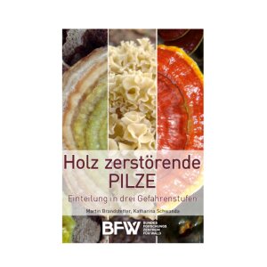 Bestimmungsfächer - Holz zerstörende Pilze NEU