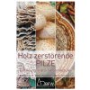 PILZFÄCHER: HOLZ ZERSTÖRENDE PILZE