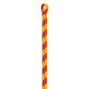 Petzl Control 12,5 mm Baumkletterseil 60 m orange