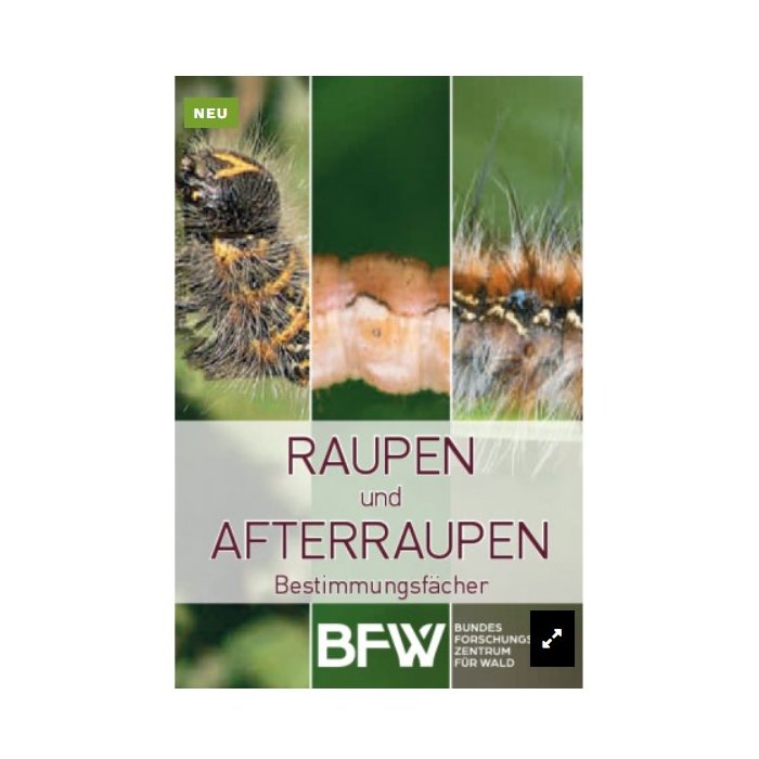 Bestimmungsfächer Raupen und Afterraupen - NEU